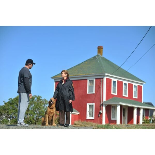 Jesse Stone Collection (DVD)