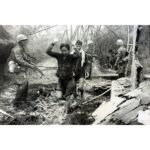 THE VIETNAM WAR [DVD][10-Discs] (Documentary/History, Compatible with all DVD players)