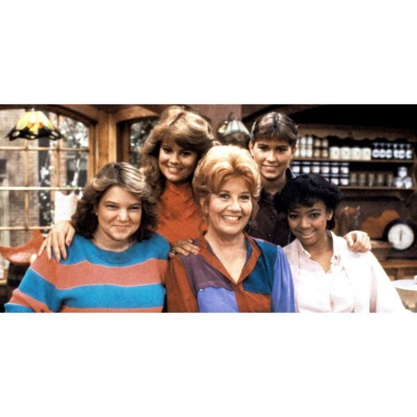 the Facts of Life - The Complete Series [DVD][26 - Discs] (Comedy, Compatible with all DVD players)