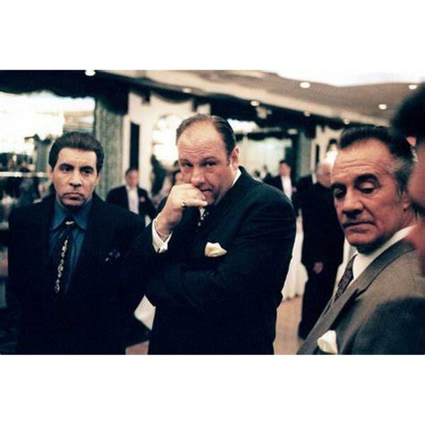 The Sopranos: The Complete Series [30 - Disc DVD Collection]£¨Crime Drama, TV Series, Compatible with All Region DVD Players£©