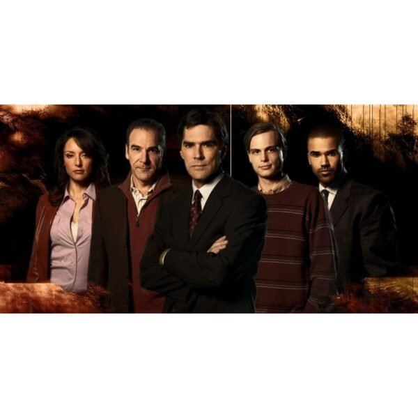 Criminal Minds the Complete series [DVD][85 Discs] (Crime Drama, Psychological Thriller, All-Region DVD Compatible)