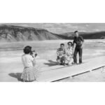 The National Parks: America's Best Idea (DVD)