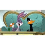 The Looney Tunes Show [DVD][24-Discs] (Animation/Comedy, Compatible with All DVD Players)